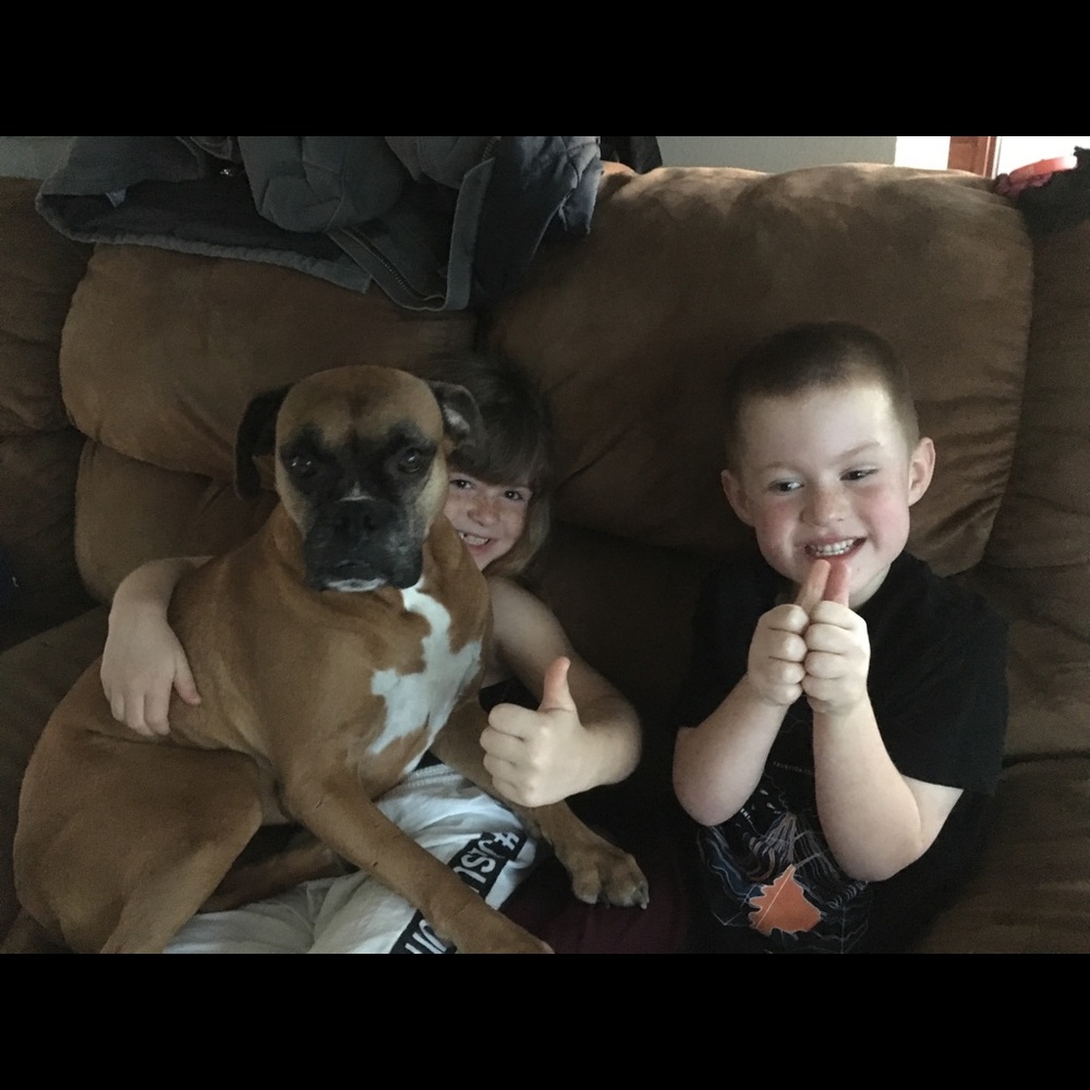 Dogs - Picture 8 of 8